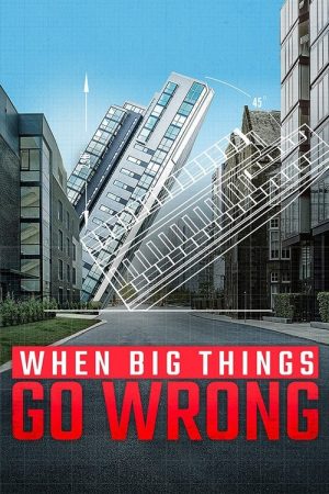 When Big Things Go Wrong (2021) poster