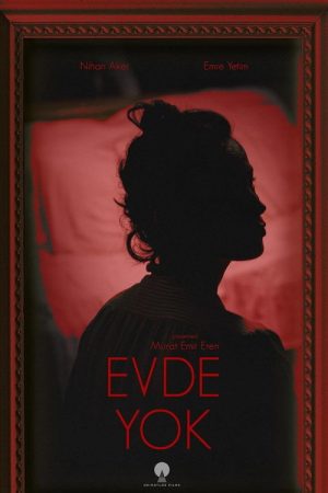 As If I Never Existed (2020) poster