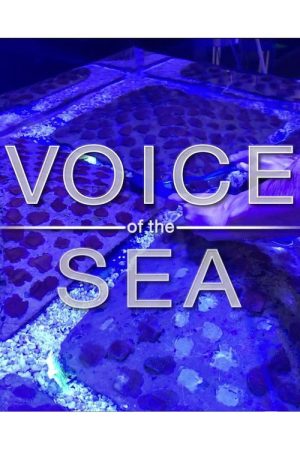 Voice of the Sea (2016) poster