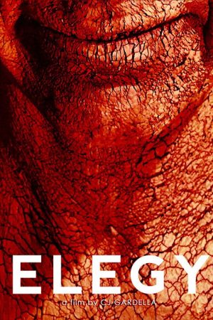 Elegy (2017) poster