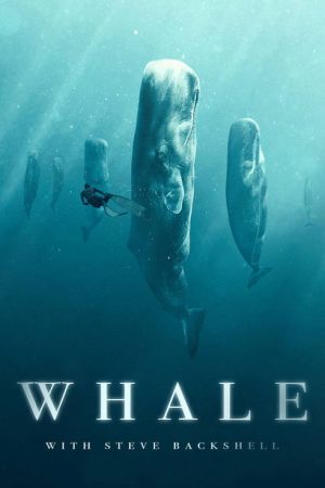 Whale with Steve Backshall (2023) poster