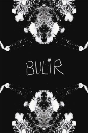BULIR (2024) poster