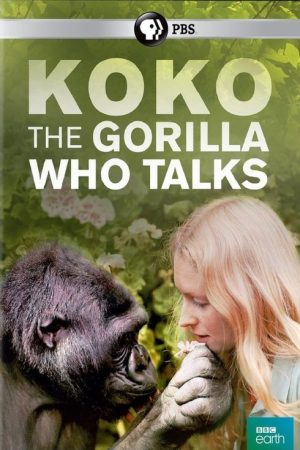 Koko: The Gorilla Who Talks to People (2016) poster