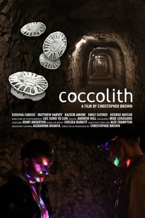 coccolith (2017) poster