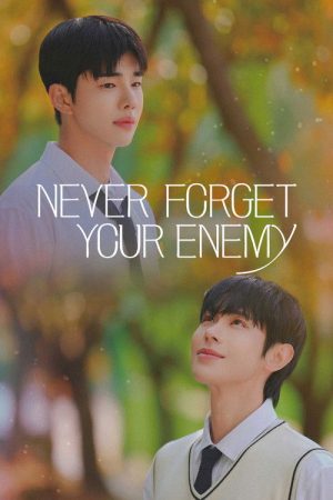 Never Forget Your Enemy (2026) poster