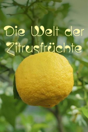 Die Welt der Zitrusfrüchte (2025) poster