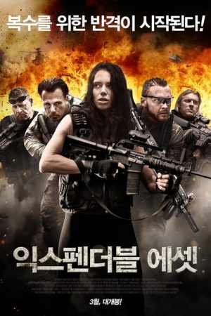 Expendable Assets (2016) poster