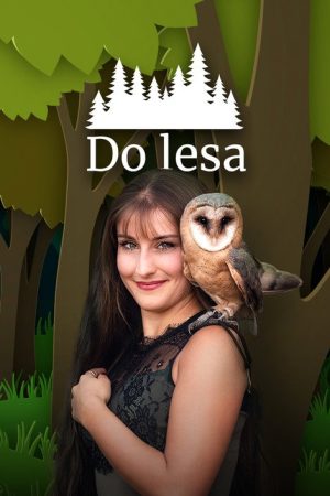 Do lesa (2022) poster