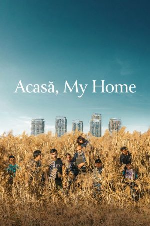 Acasă, My Home (2020) poster