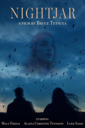 Nightjar (2019) poster