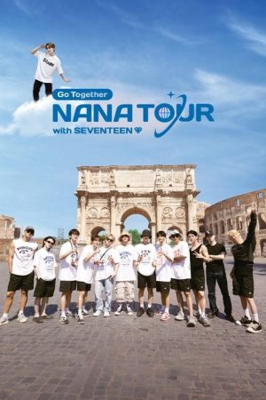 NANA TOUR with SEVENTEEN (2024) poster