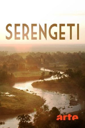 Serengeti (2022) poster