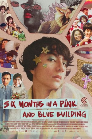 Six Months in a Pink and Blue Building (2026) poster