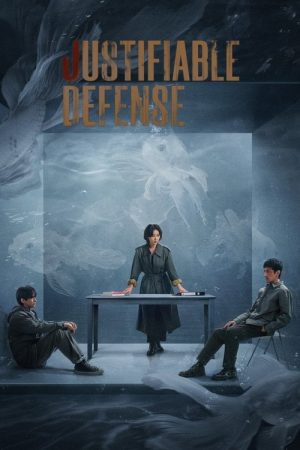 Justifiable Defense (2025) poster