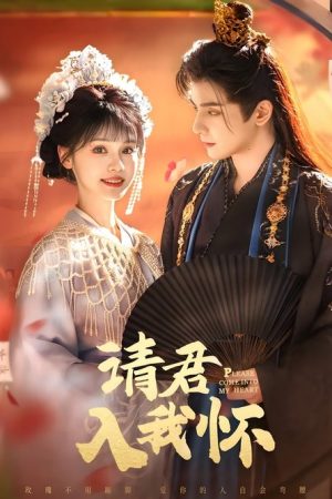 Please Come into My Heart (2025) poster