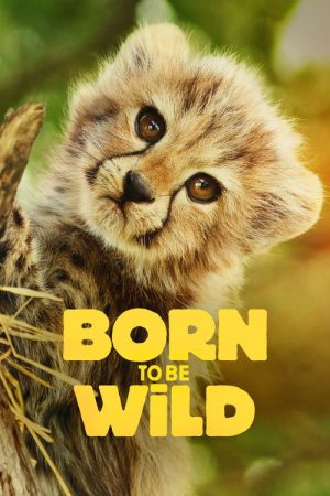Born to Be Wild (2025) poster