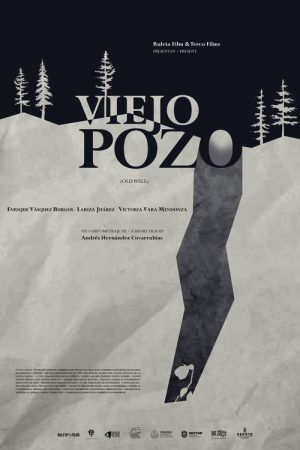 Old Well (2024) poster