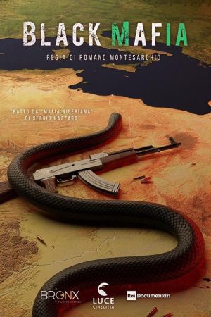 Black Mafia (2021) poster