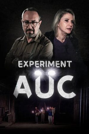 Experiment Aüc (2025) poster