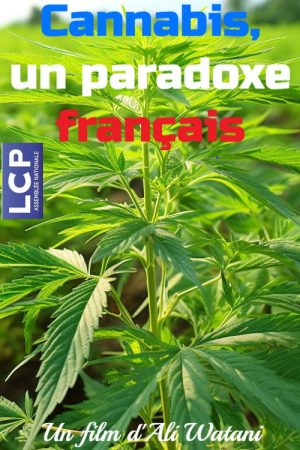 Cannabis, un paradoxe français (2025) poster