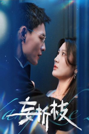 妄折枝 (2025) poster