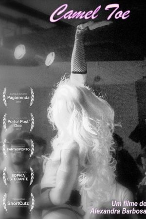 Camel Toe (2017) poster