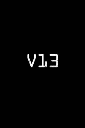 V13 – La série documentaire (2021) poster
