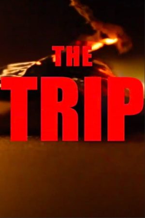 The Trip (2020) poster