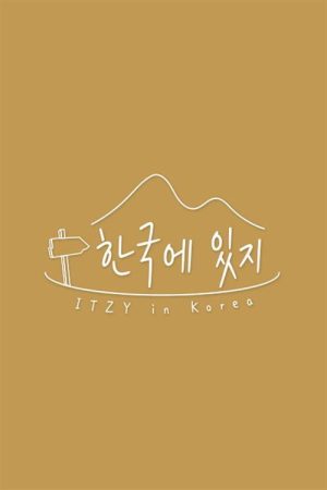 한국에 있지 (2020) poster