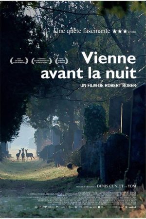 Vienne avant la nuit (2017) poster