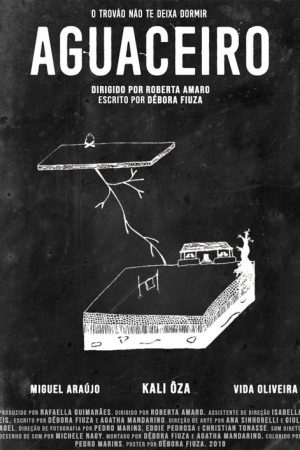 Aguaceiro (2019) poster