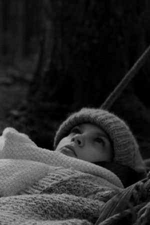 The Body Is Getting Cold (2024) poster