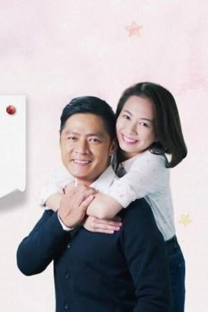 爱不迟疑 (2017) poster