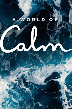 A World of Calm (2020) poster
