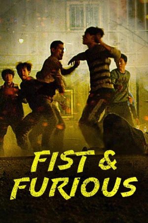 Fist & Furious (2019) poster