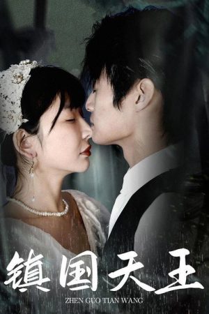 镇国天王 (2023) poster