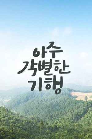 아주 각별한 기행 (2020) poster