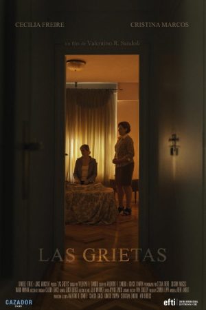 The Cracks (2020) poster