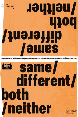 Same/Different/Both/Neither (2020) poster