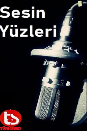 Sesin Yüzleri (2016) poster