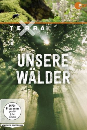 Terra X – Unsere Wälder (2017) poster