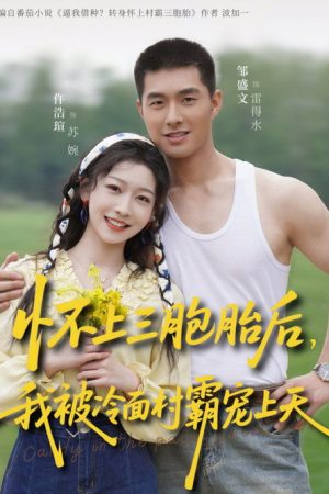 怀上三胞胎后，我被冷面村霸宠上天 (2026) poster
