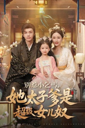 别惹小乞丐，她太子爹是超级女儿奴 (2025) poster