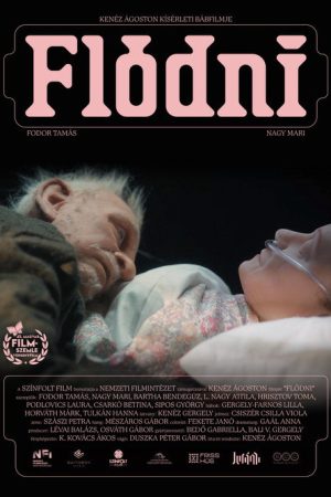 Flódni (2026) poster
