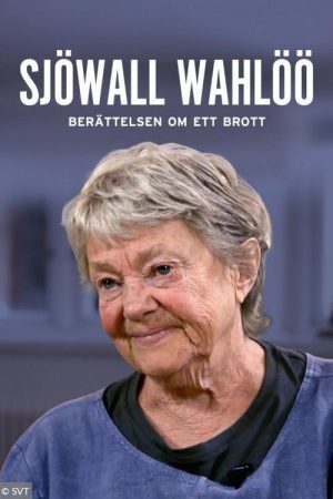 Sjöwall & Wahlöö – Berättelsen om ett brott (2016) poster