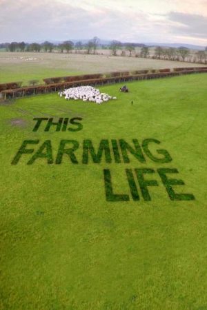 This Farming Life (2016) poster