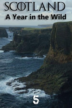 Scotland: A Year In The Wild (2021) poster
