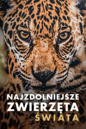 Naturtalente (2016) poster