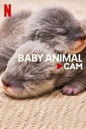 Baby Animal Cam (2023) poster