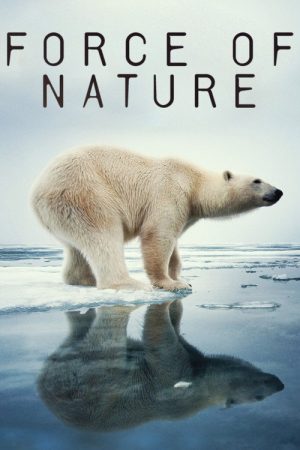 Force of Nature (2026) poster